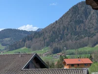 Zellerberg 20