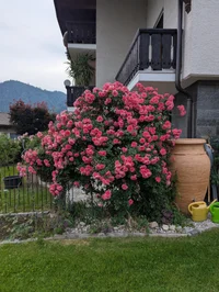 Rauschberg 1 16