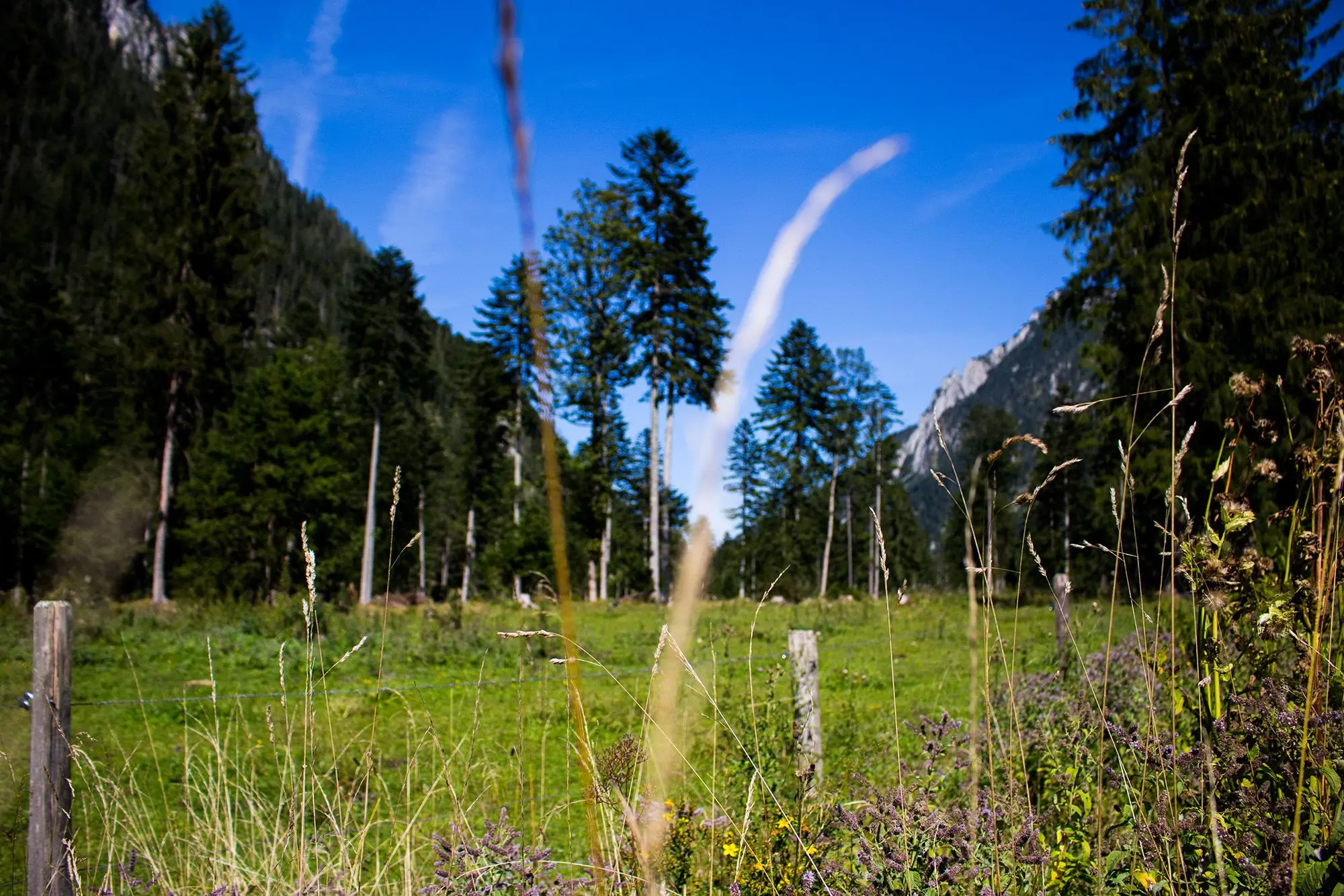 URLAUB IN RUHPOLDING